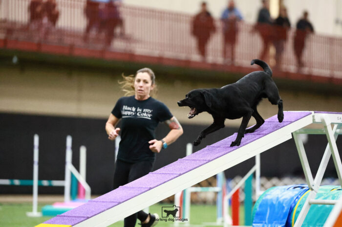 Dubbi_Patterson_Friday_Pentathlonagility2_274_RNR_7502