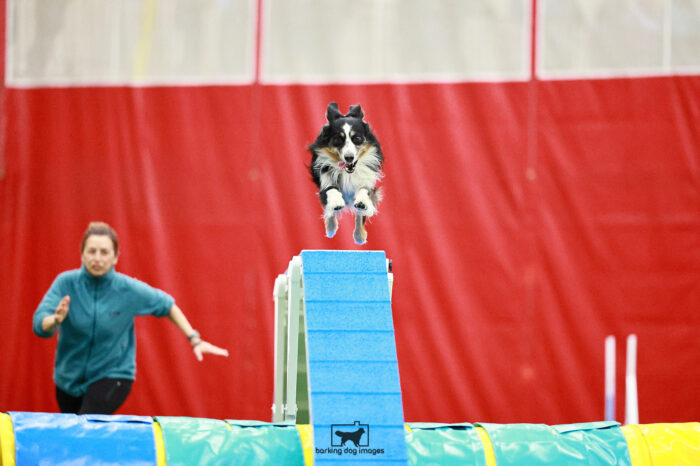 FiggyDuff_Dugan_Saturday_Biathlonagility_189_RNR_4390