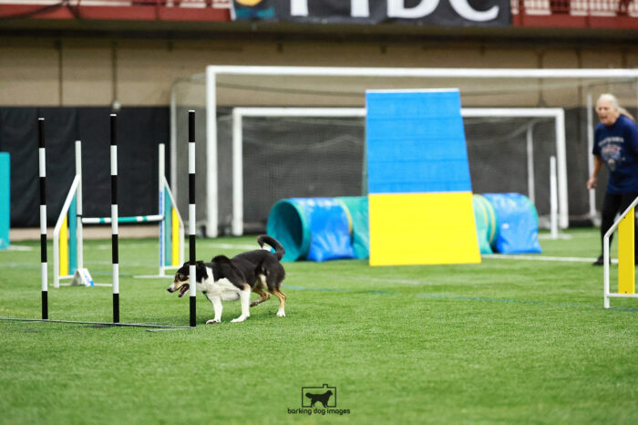 Lawson_Newman_Saturday_Biathlonagility_355_RNR_2631