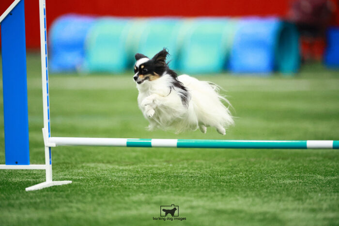 Mick_Klarman_Sunday_Blueribbonfinal_163_RNR_4603