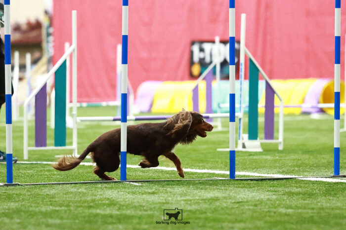Ribbons_Wayne_Friday_Biathlonjumping_199_VW_3333