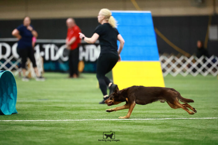 Xcel_Stumler_Sunday_Blueribbonfinal_190_VW_4361