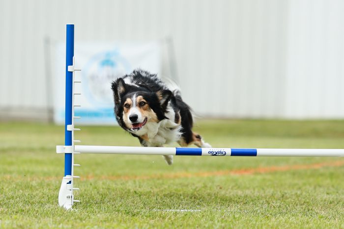 Klimb_Thu_Disc_4WP_Friz_25071012_MQ5184-Lynn-D-Busse-scaled