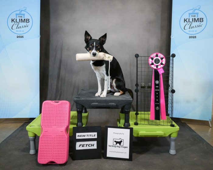 Klimb_Sun_RibbonPhotos-1204-scaled