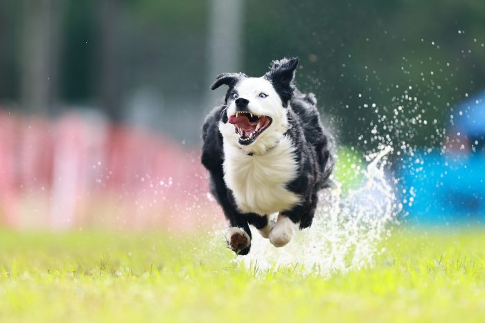 Klimb_Sat_FCAT_25071210_MQ1395-Megan-scaled