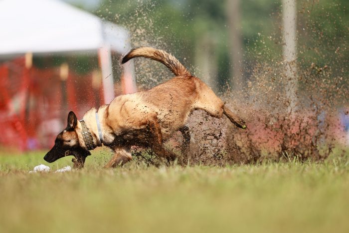 Klimb_Sat_CAT_PM25071216_KO4073-Kayleigh-Omang-scaled