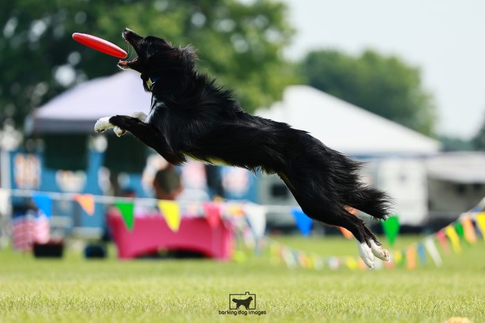 Klimb_Sun_Disc_ThrowNGo_25071311_SH3921-Sarah-Szymborski