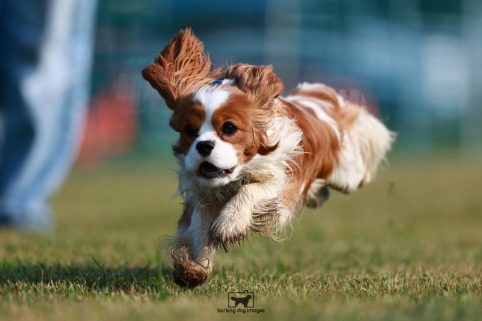 WRKC_Aug_Fri_FCAT_25080108_NH7584-