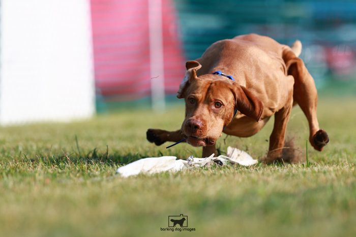 WRKC_Aug_Fri_FCAT_25080108_NH7509-