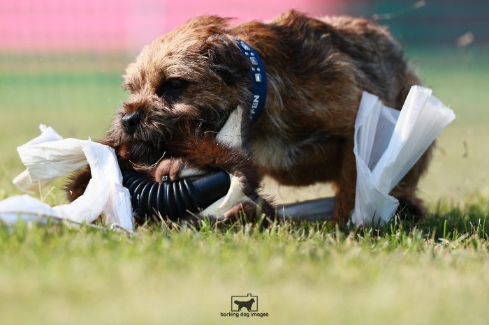 WRKC_Aug_Fri_FCAT_25080116_NH2392-