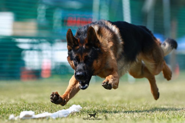 WRKC_Aug_Fri_FCAT_25080115_NH1872-