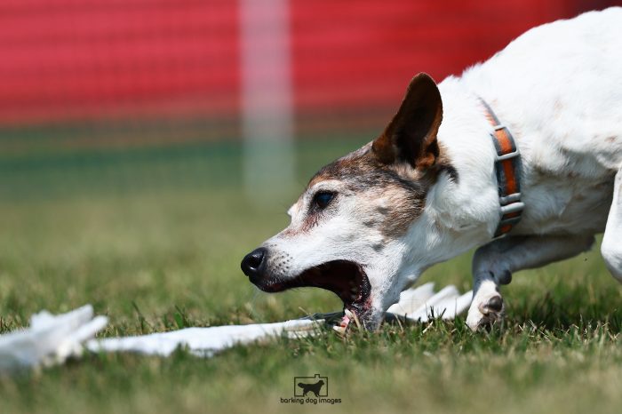 WRKC_Aug_Fri_FCAT_25080113_NH0581-