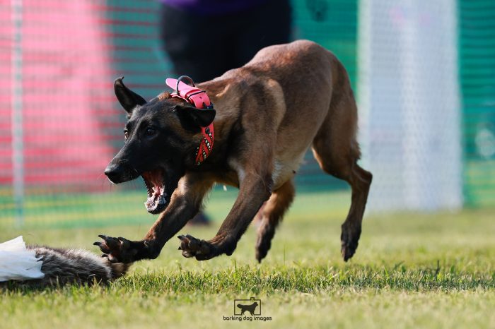 WRKC_Aug_Fri_FCAT_25080117_NH2599-