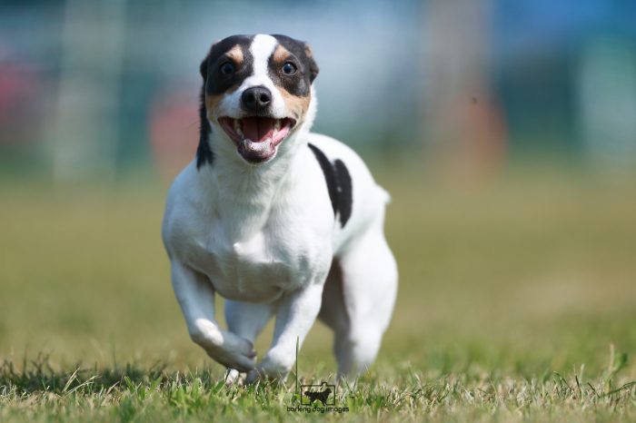 WRKC_Aug_Fri_FCAT_25080110_NH9394-