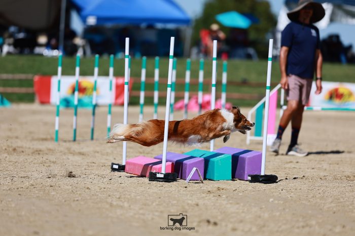 Nova_Quinn_Sunday_PentathlonSteeplechase_165_JC_2452