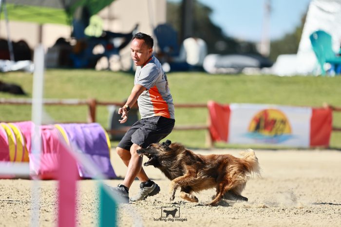 Firefly_Ly_Saturday_MastersJumping_190_JC_2478