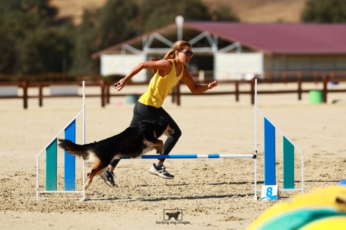 Hiyah_Vaughn_Friday_PentathalonAgility1_194_RR_6298