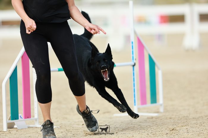 Vexa_Foss_WinnerTakesAllJumping_353_RR_9850