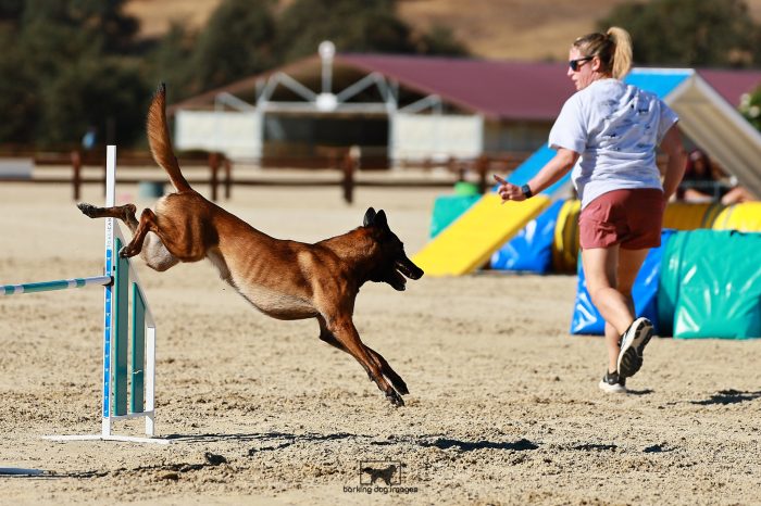 Missile_Mohs_Thursday_WCOAgility_163_JC_2370