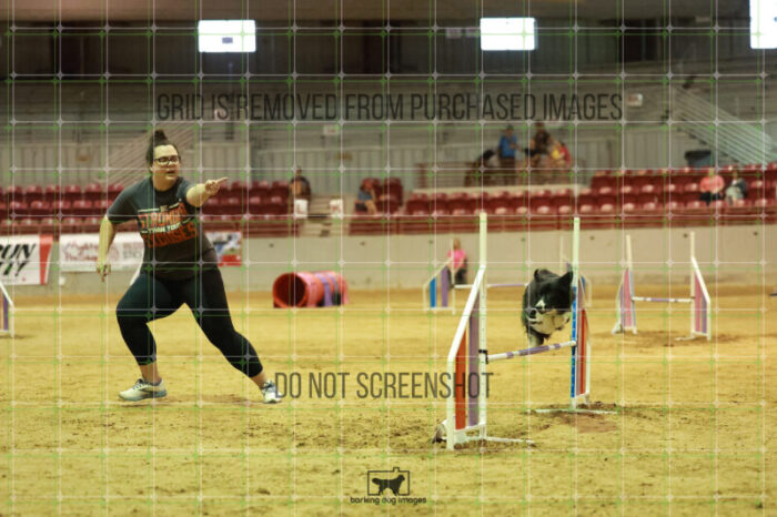 winning_Hanson_Wednesday_Speedstakes_Semi_Final_279_RR_6852
