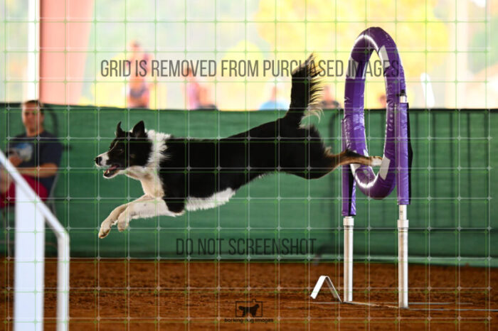 Ace_Darga_Friday_Round2Jumping_556_KG_9749
