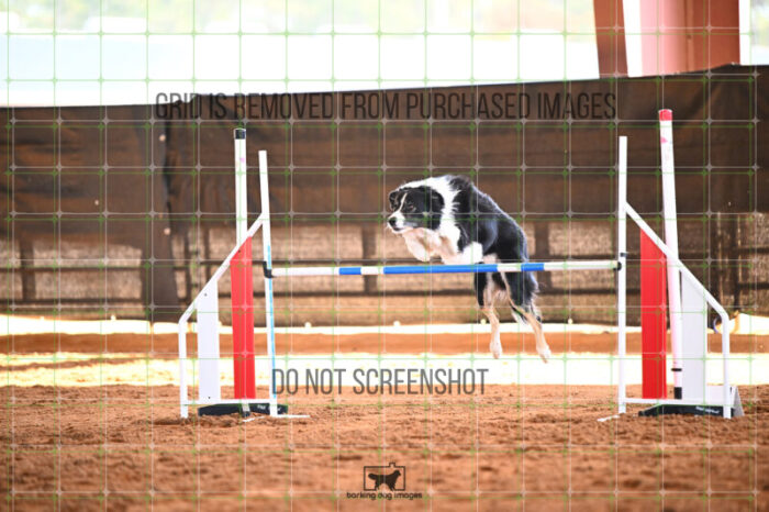 Ace_Darga_Saturday_WTAJumping_258_KG_6995