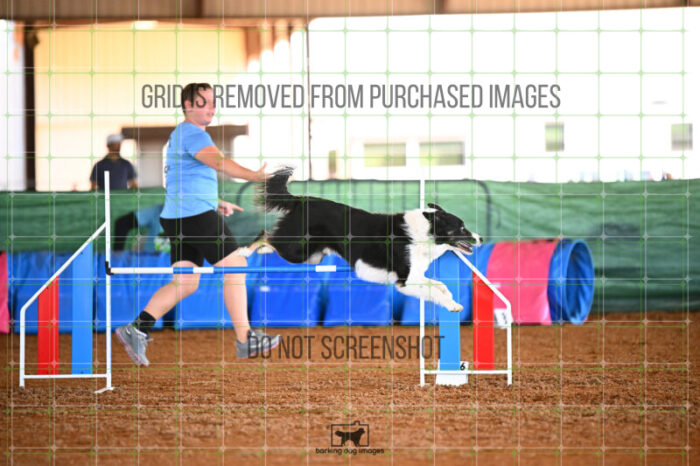 Ace_Darga_Saturday_WTAJumping_258_KG_7026