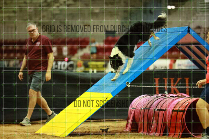 Ace_Darga_Sunday_Challenger_207_SH_2692