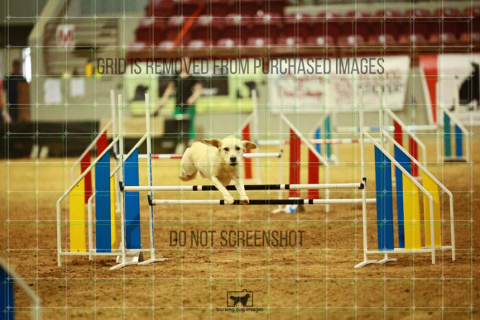 Bailey_Buck_Ring_2_Wednesday_Biathlon_Jumping_126_SH_0821