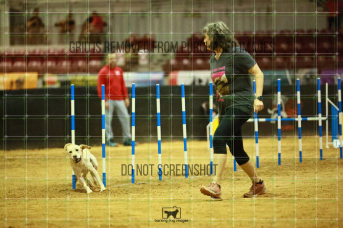 Bailey_Buck_Ring_2_Wednesday_Biathlon_Jumping_126_SH_0842