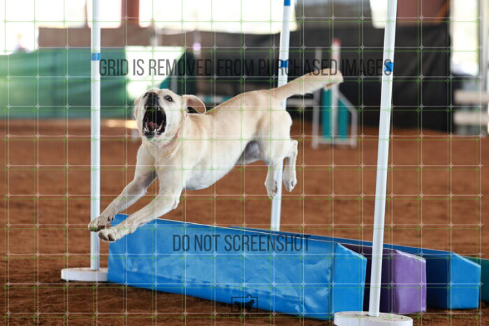 Bailey_Buck_Ring_5_Saturday_WTAJumping_307_JC_6263