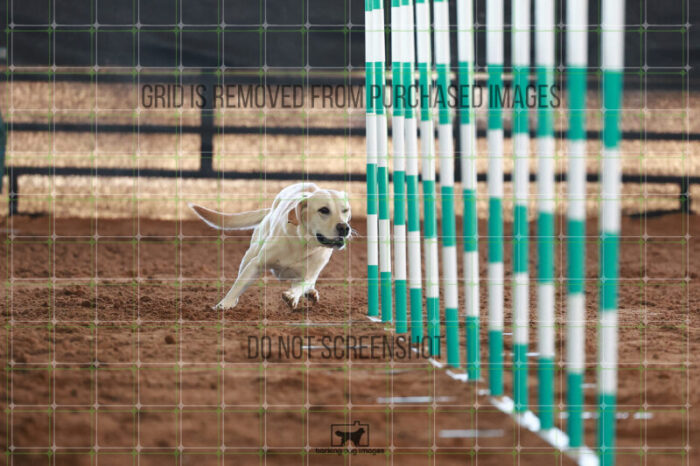 Bailey_Buck_Ring_5_Saturday_WTAJumping_307_JC_6270
