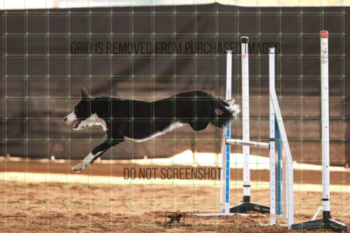 AeroDynamic_Weathers_Friday_MastersJumpingFinal_132_JC_1008