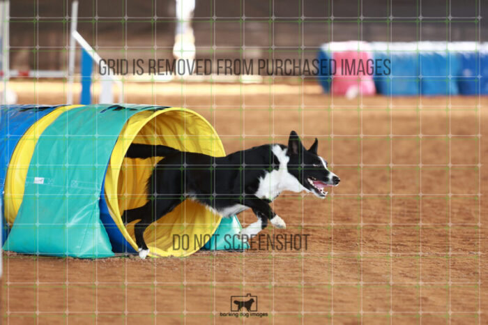 AeroDynamic_Weathers_Friday_MastersJumpingFinal_132_JC_1011
