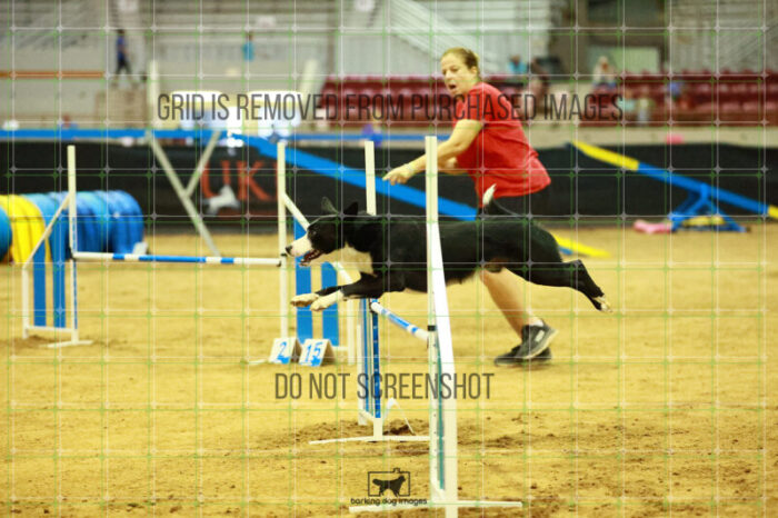 AeroDynamic_Weathers_Ring_2_Saturday_OpenAgility_185_SH_3355