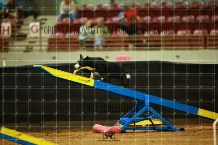 AeroDynamic_Weathers_Ring_2_Saturday_OpenAgility_185_SH_3365