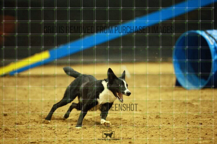 AeroDynamic_Weathers_Ring_2_Saturday_OpenAgility_185_SH_3378