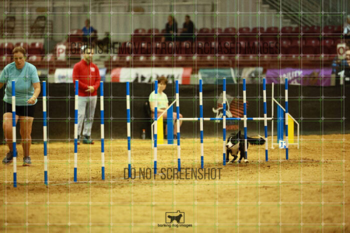 AeroDynamic_Weathers_Ring_2_Wednesday_Biathlon_Jumping_199_SH_3687