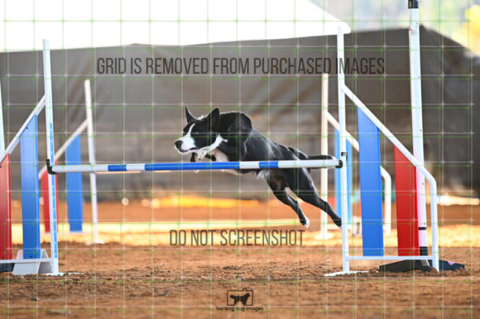 AeroDynamic_Weathers_Wednesday_Speedstakes_SemiFinal_278_KG_4126