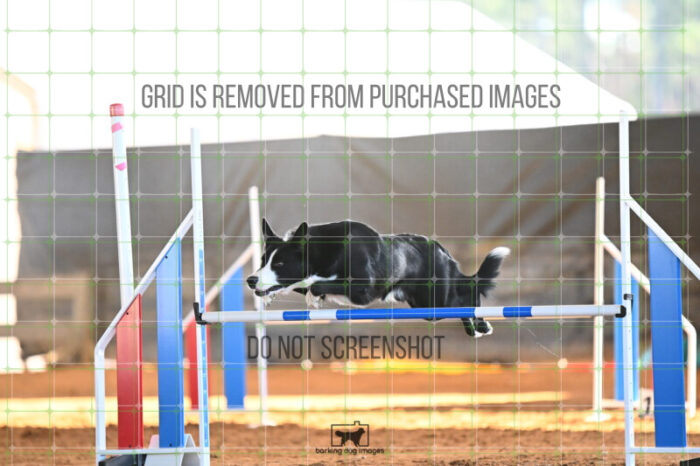 AeroDynamic_Weathers_Wednesday_Speedstakes_SemiFinal_278_KG_4128