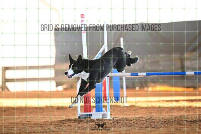AeroDynamic_Weathers_Wednesday_Speedstakes_SemiFinal_278_KG_4131
