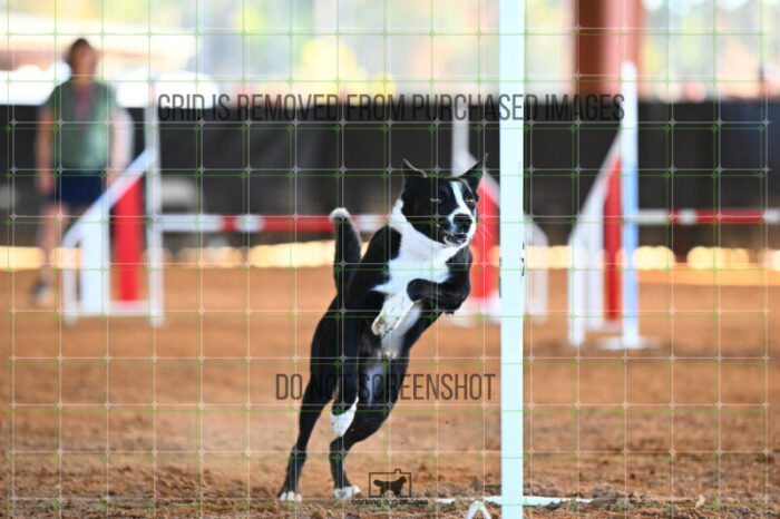 AeroDynamic_Weathers_Wednesday_Speedstakes_SemiFinal_278_KG_4134