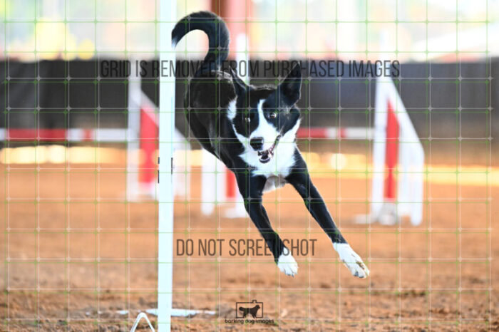 AeroDynamic_Weathers_Wednesday_Speedstakes_SemiFinal_278_KG_4141