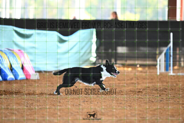 AeroDynamic_Weathers_Wednesday_Speedstakes_SemiFinal_278_KG_4157
