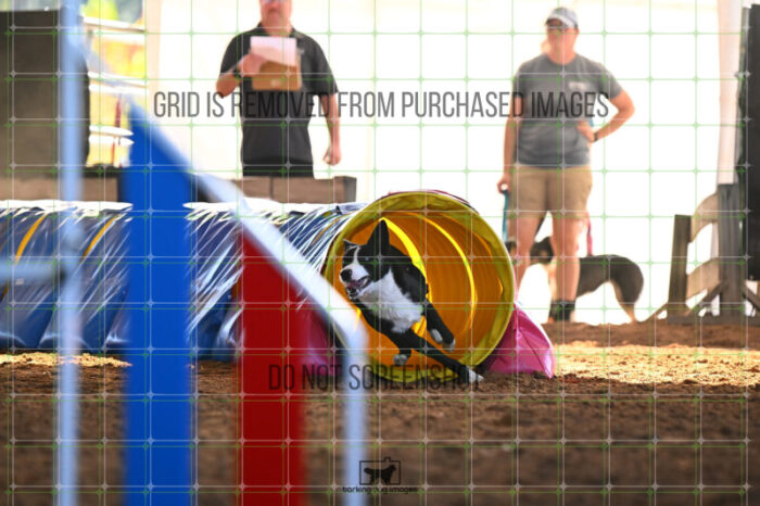 AeroDynamic_Weathers_Wednesday_Speedstakes_SemiFinal_278_KG_4172
