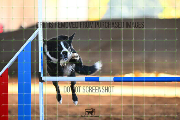 AeroDynamic_Weathers_Wednesday_Speedstakes_SemiFinal_278_KG_4180