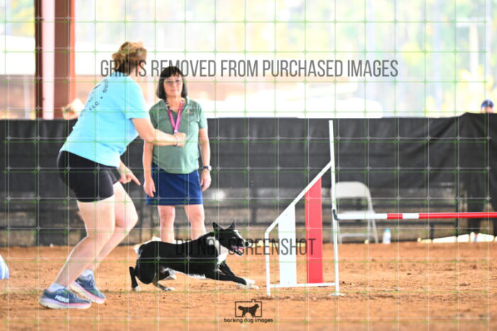 AeroDynamic_Weathers_Wednesday_Speedstakes_SemiFinal_278_KG_4196