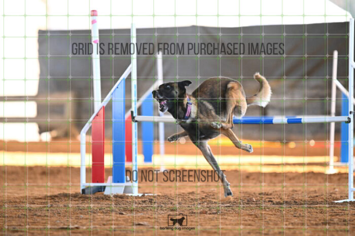 Bauer_Chami_Wednesday_Speedstakes_SemiFinal_263_KG_2774