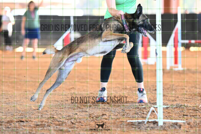 Bauer_Chami_Wednesday_Speedstakes_SemiFinal_263_KG_2777