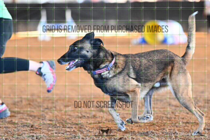 Bauer_Chami_Wednesday_Speedstakes_SemiFinal_263_KG_2793